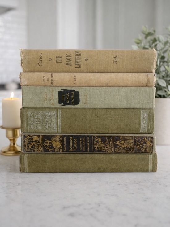 Other - Vintage Decorative Book Bundle | Set of 5